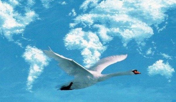 gans-in-de-lucht-wolken-vliegen