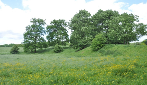 natuur-hekkens