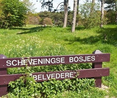 scheveningse-bosjes-belvedere