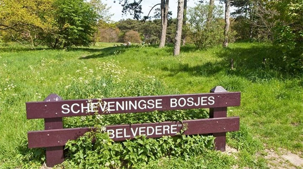 scheveningse-bosjes-belvedere