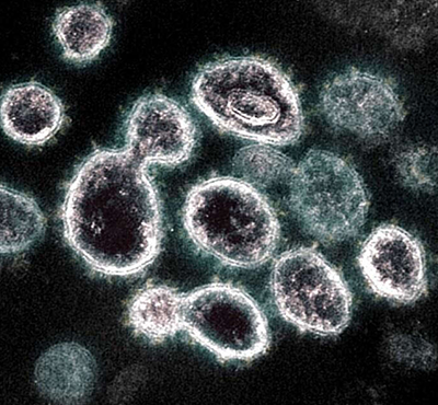 Britse Variant Coronavirus