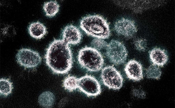 Britse Variant Coronavirus