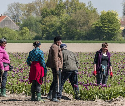 HansRoodenburg 14-5-22