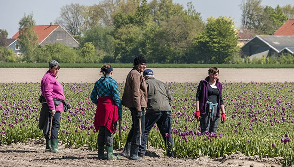 HansRoodenburg 14-5-22