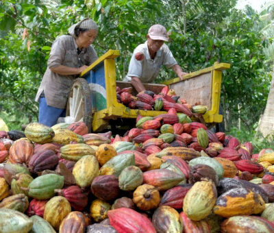 EduardBomhoff 15-11-25 EduardBomhoff 15-11-25