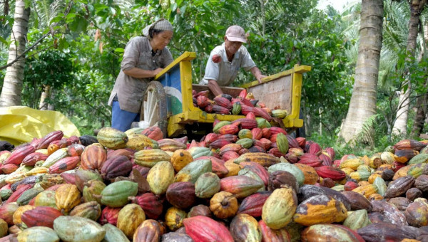 EduardBomhoff 15-11-25