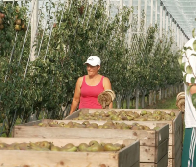 roodenburg roodenburg