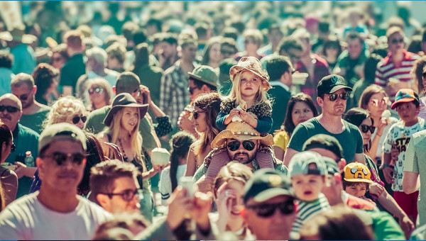 WW Wansink 31 januari 2026