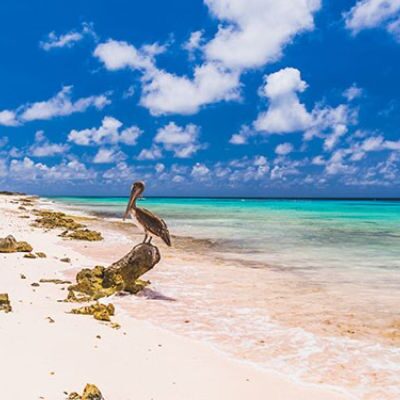 Intro WW 5-2-26_BEELD