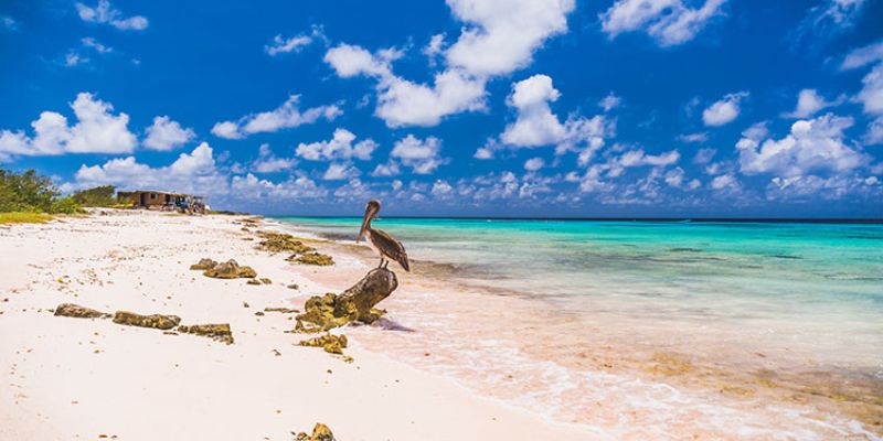 Intro WW 5-2-26_BEELD