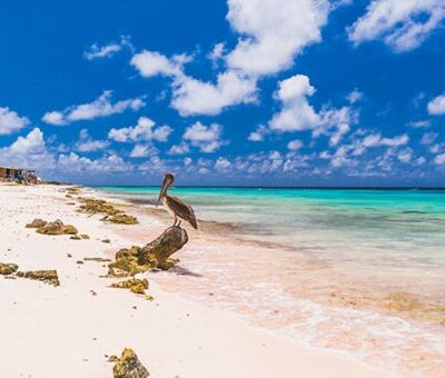 LucasBergkamp 5-2-26_BEELD