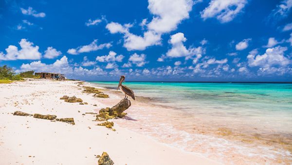 LucasBergkamp 5-2-26_BEELD