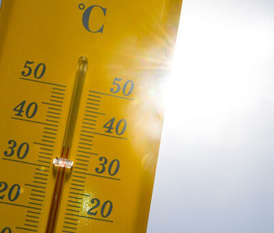 WW Jaspers 14 februari 2026