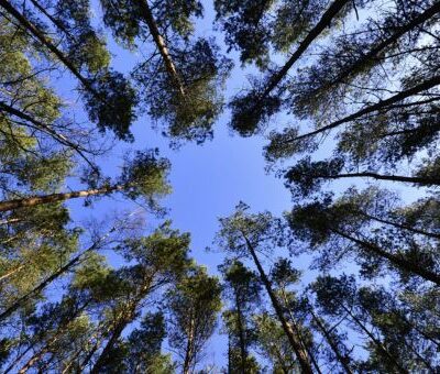 WW Van Andel 26 maart 2026 WW Van Andel 26 maart 2026