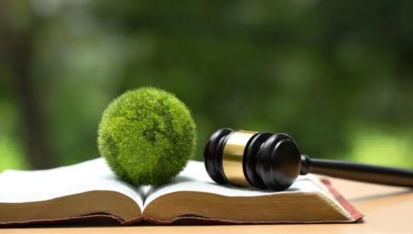 WW Van Andel 23 april 2026