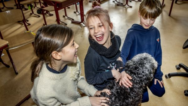 WW Hamerslag 28 juli 2026